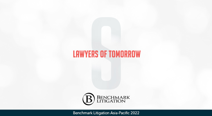 Benchmark Litigation Report on Singularity